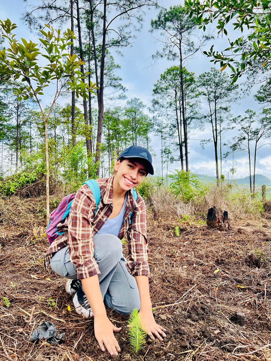 Nosotros CREEMOS en una Honduras más verde ¿y vos? 

Con apoyo del Instituto de Conservación Forestal (ICF) nos fuimos a reforestar el bosque de Zambrano🌲 

¡Te invitamos a que puedas sumarte a #CREO Honduras y ser parte de la transformación.