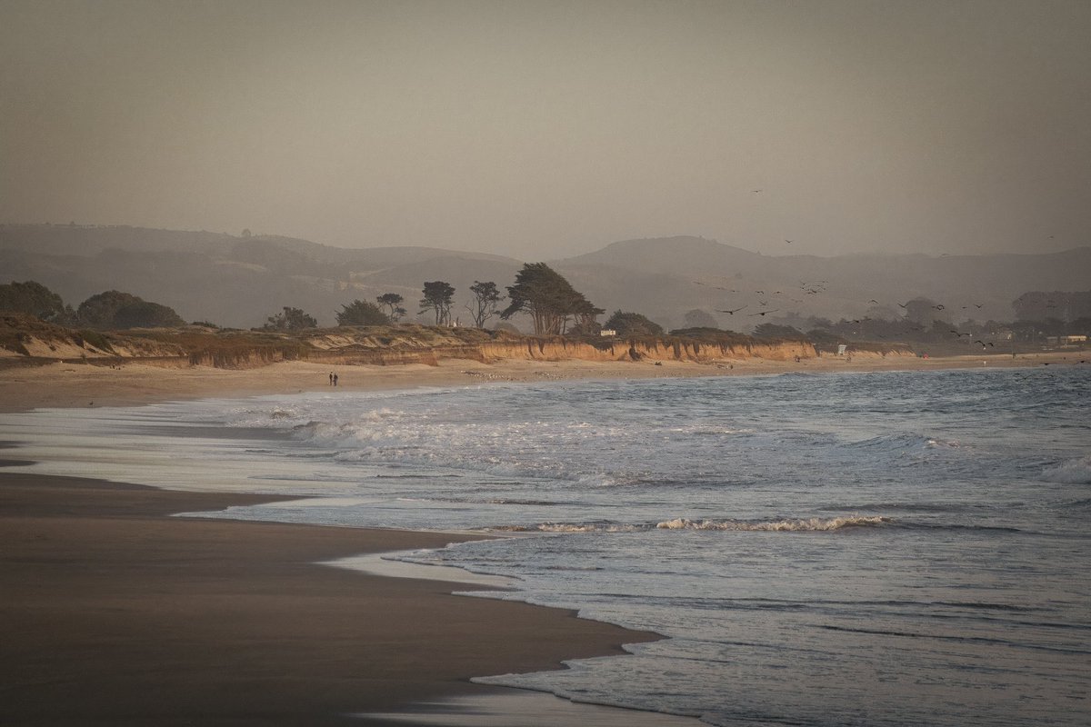 Slobodan Mišković 🧗🏻‍♂️🚀 tweet media