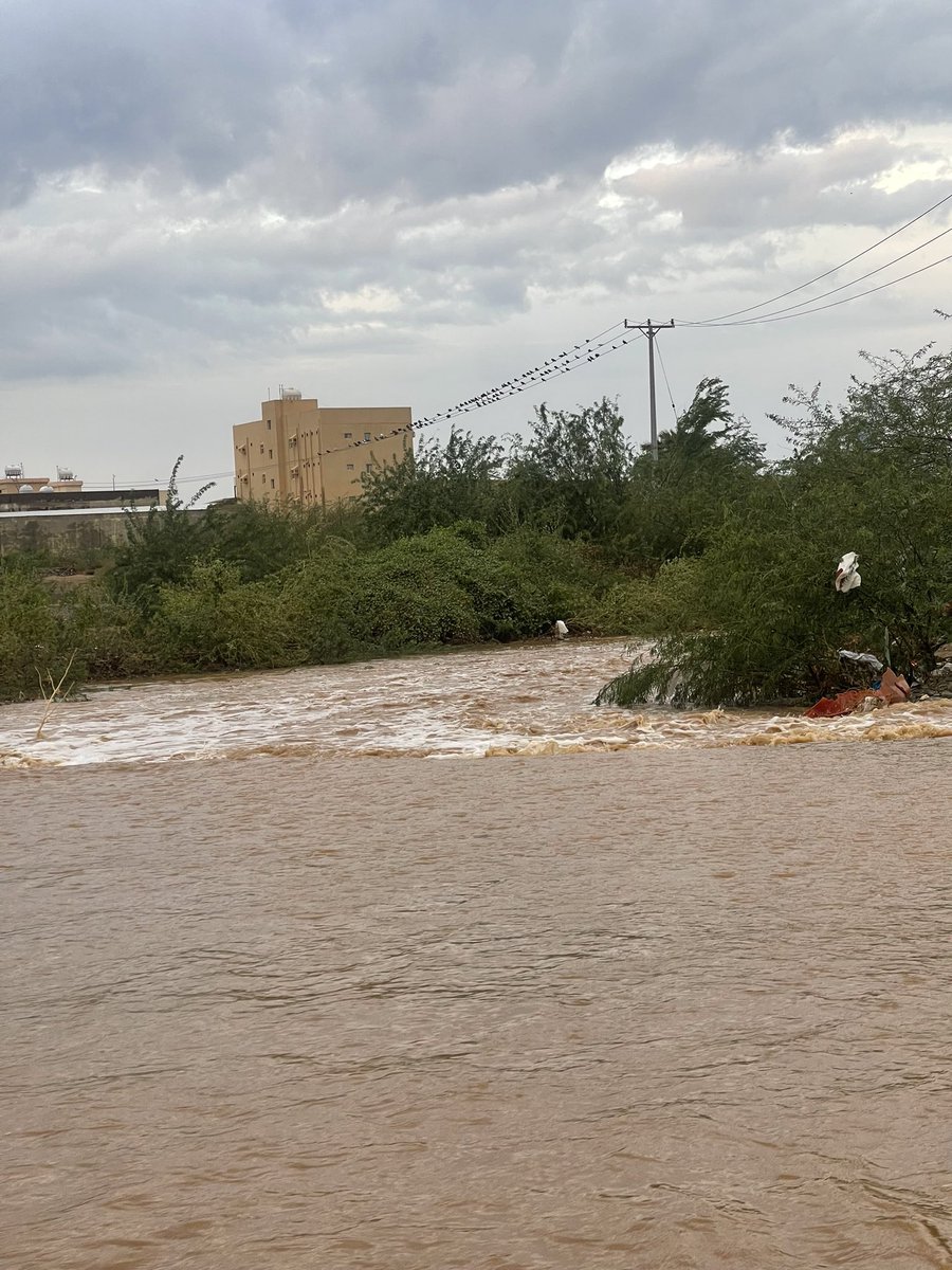 il0ooo0li's tweet photo. #يحدث_الآن 
امطار الخير والبركة #محافظة_الدرب   
#جازان 

@34Asas2012 @Arab_Storms @ArabiaWeatherSA 
@saudiweathergr @saudiweathergr2 @WeatherGulf https://t.co/pngM9JMfuq