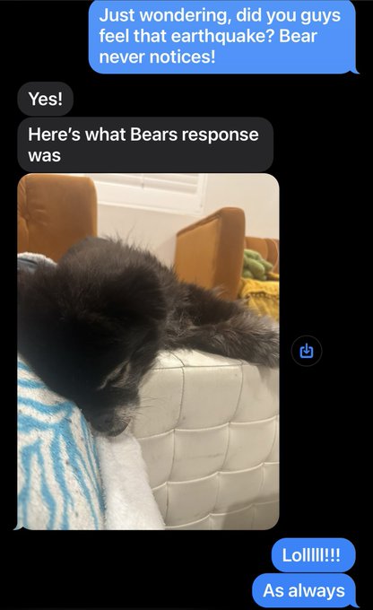 “animals can always sense these things!” Never my dog, not once lol! This is what the dogsitter had to