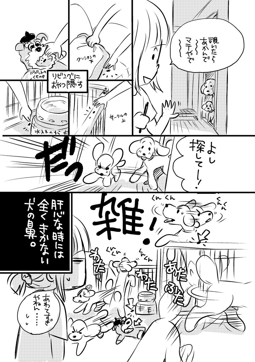 検証:犬の鼻 