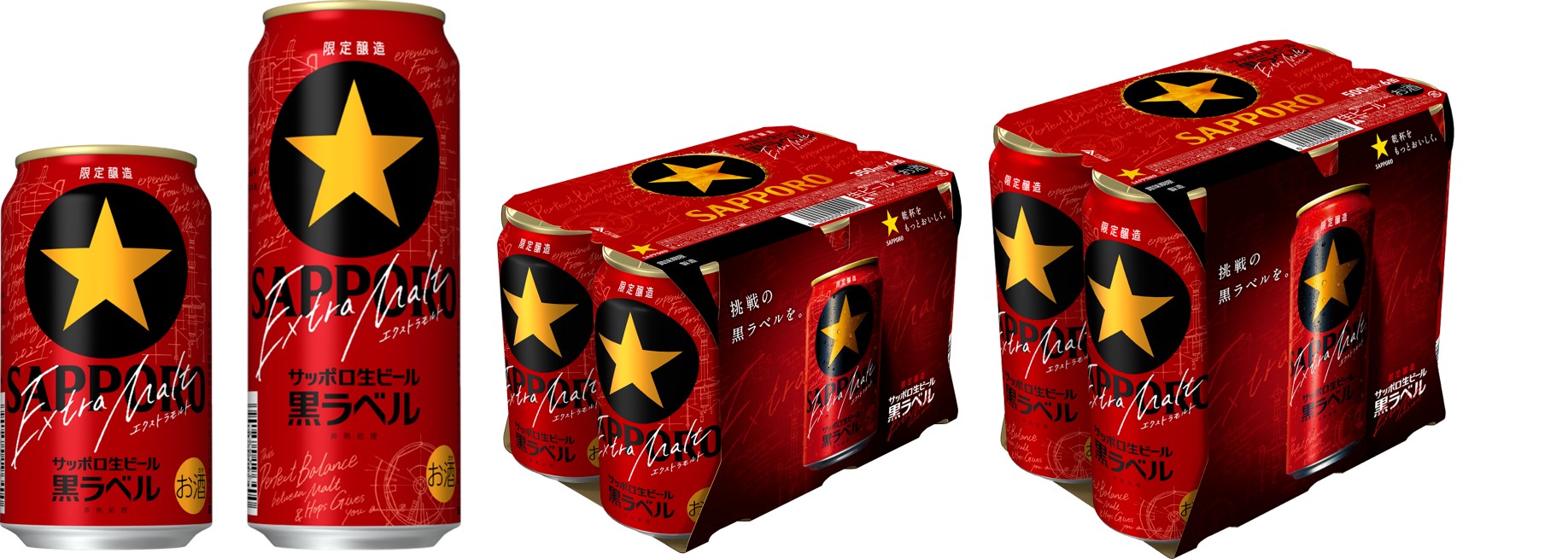 サッポロビール 黒ラベル 500ml×48 【公式通販】