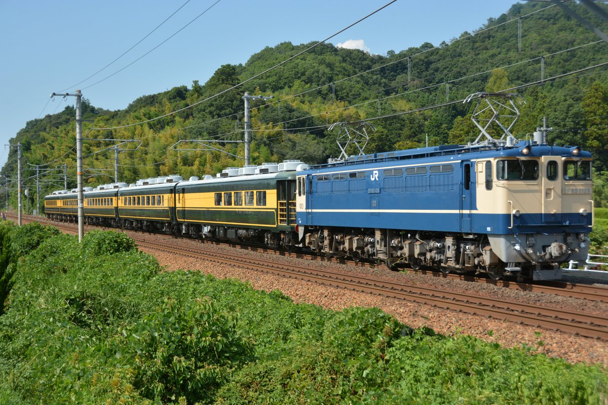 naocyan1112様 専用 EF65-1133号機 9817180330bdaa8b33b01343bd6c19