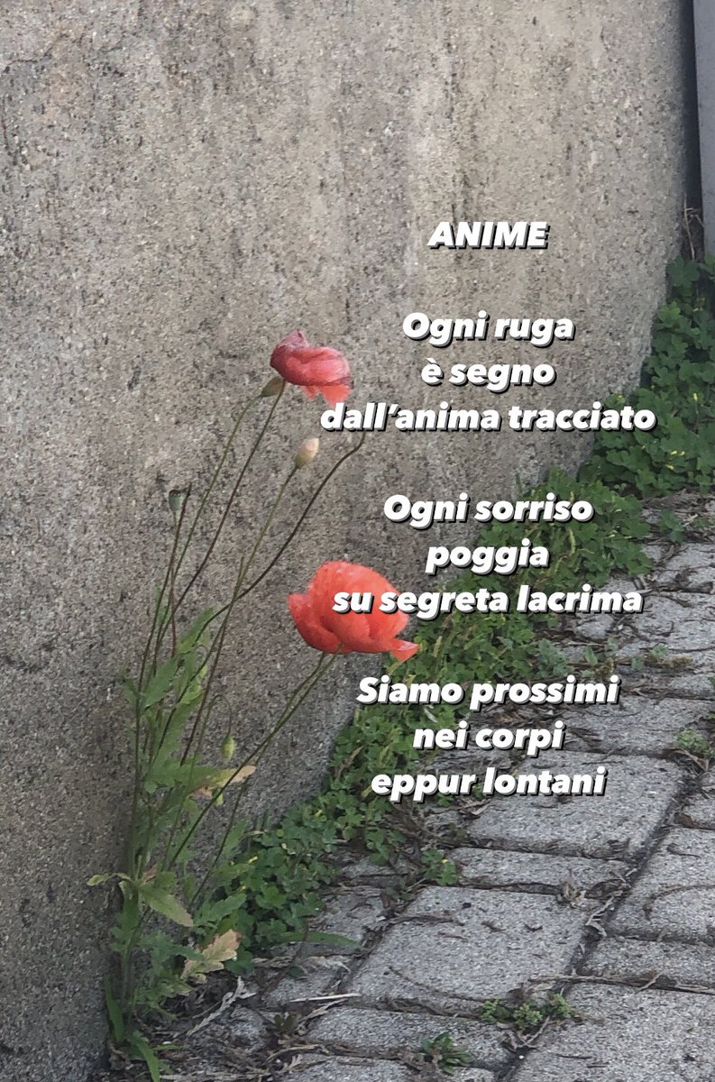 OlivieroBianchi's tweet photo. ANIME
#poesia #poesiaitaliana #poesiacontemporanea #autorebianchi #anime #rughe #segno #sorriso #lacrima #prossimi #lontani https://t.co/AgbSvaimh1