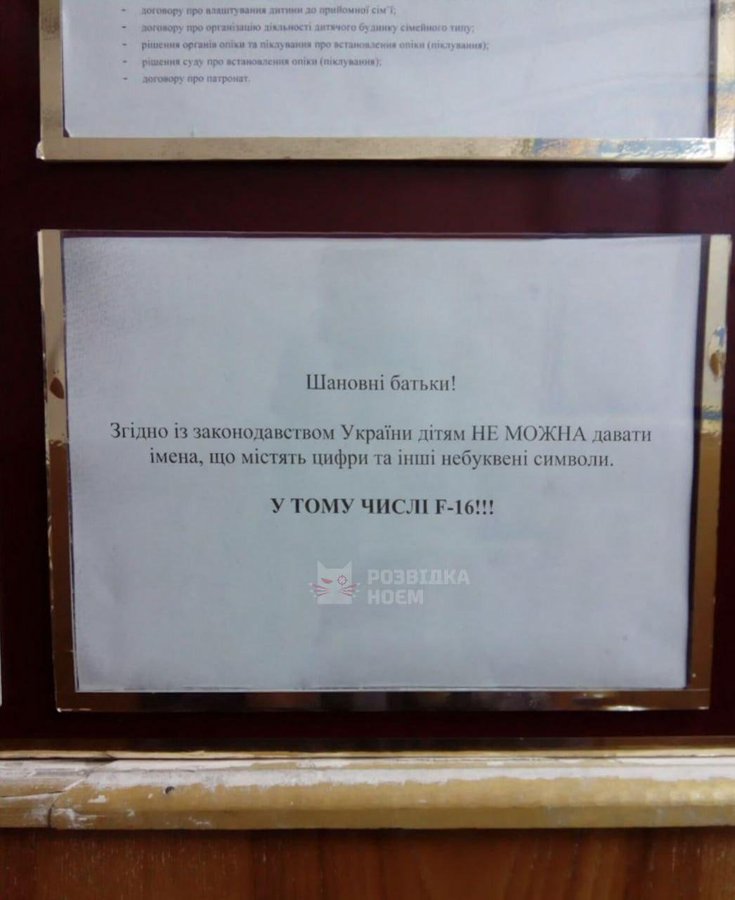 Pilt