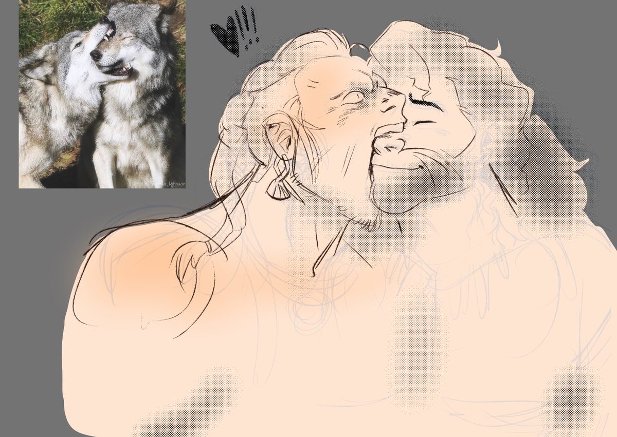 BoxerDandy's tweet photo. Barbarian sketching..
The sons of Fenris were raised by wolves (literally), biting is their love language. https://t.co/sTCKIdO0CH