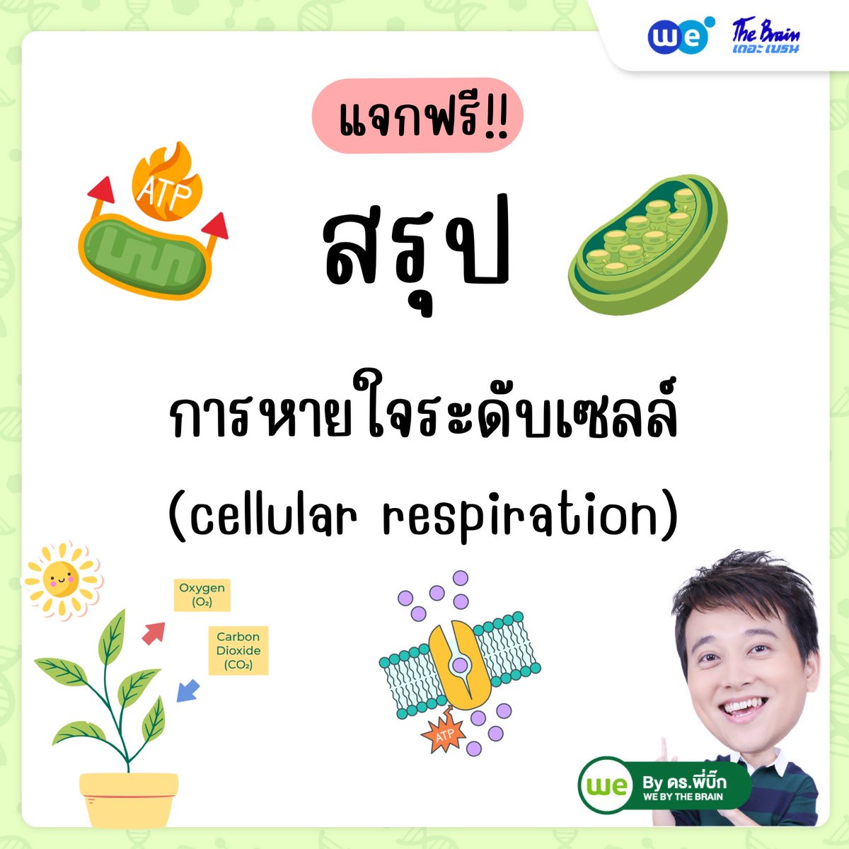 WEBYTHEBRAIN's tweet photo. แจกฟรี!!สรุปเรื่องการหายใจระดับเซลล์ ม.4
เข้าใจง่ายภายในโพสต์เดียว
คอร์สชีววิทยา ม.4 เทอม 1 รวมทุกบท (กลุ่มพื้นฐานชีววิทยา)
สมัครเลย https://t.co/Bu68wsrJfq
ทดลองเรียนฟรี https://t.co/tsM6fl7psG
#ชีวะ #ชีววิทยา #มปลาย #cellularrespiration #biology #พี่บิ���ก #WEBYTHEBRAIN #เดอะเบรน https://t.co/MakYZ2v2qj