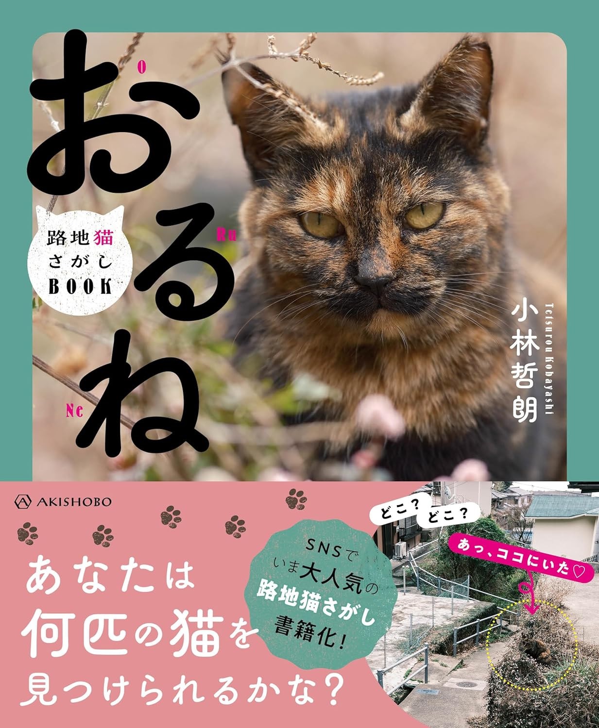 大好評】『おるね 路地猫さがしBOOK』／亜紀書房