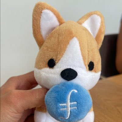 After months of our community working together for the “first Corgi meme created on Filecoin”, I am extremely heartbroken to announce that the devs have not only abandoned the community, but they have also farmed the tax wallet.. 

So after realizing all of these flaws on top of