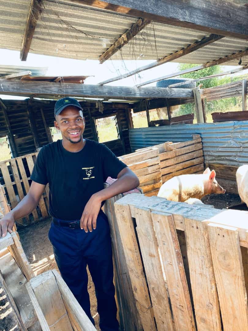 Agric_young's tweet photo. Sandile Junior is a 19-year-old pig farmer. He bought our piggery farming manual in December 2023; in January 2024, we registered his business. Now he is farming with pigs &amp; his business is growing. 

#Agriculture #farming #piggery #pigs #pigfarmer #agribusiness #agri #pork #farm https://t.co/42cu1yISXW