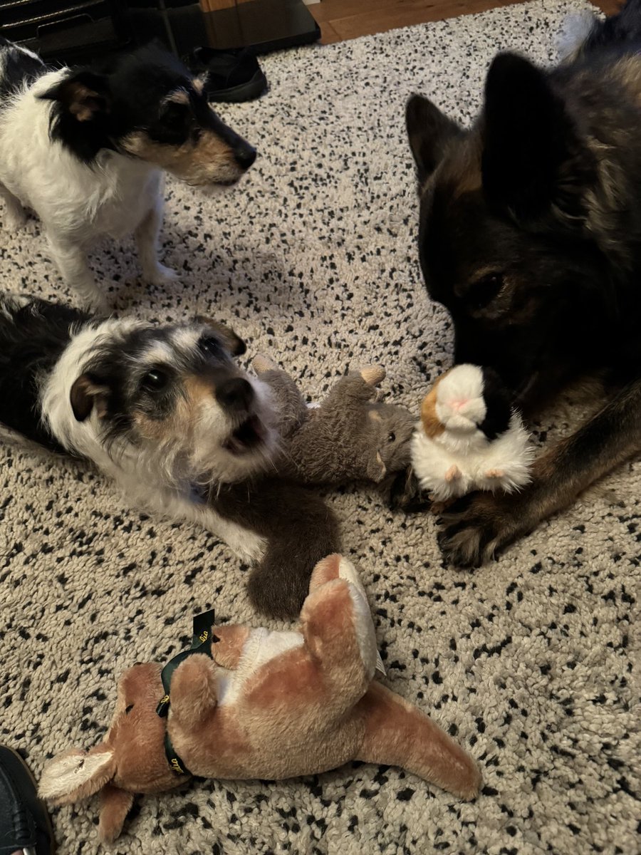 RPD Belle tweet media