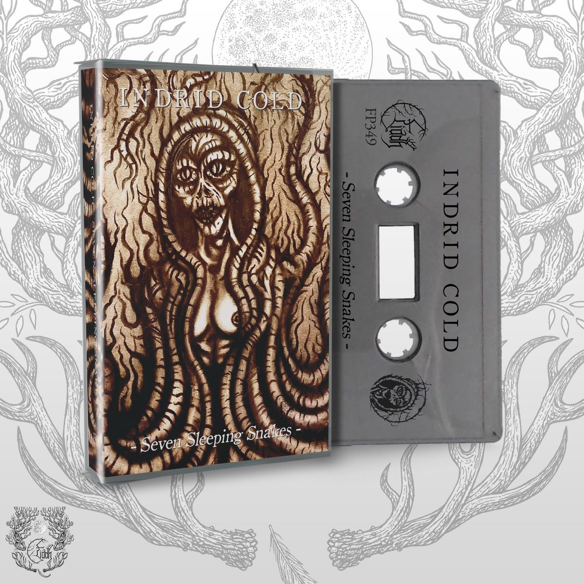 ⚔️🎀 𝔉𝔦𝔞𝔡𝔥 🎀⚔️ tweet media