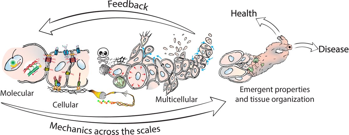 Abdel Rahman Abdel Fattah tweet media