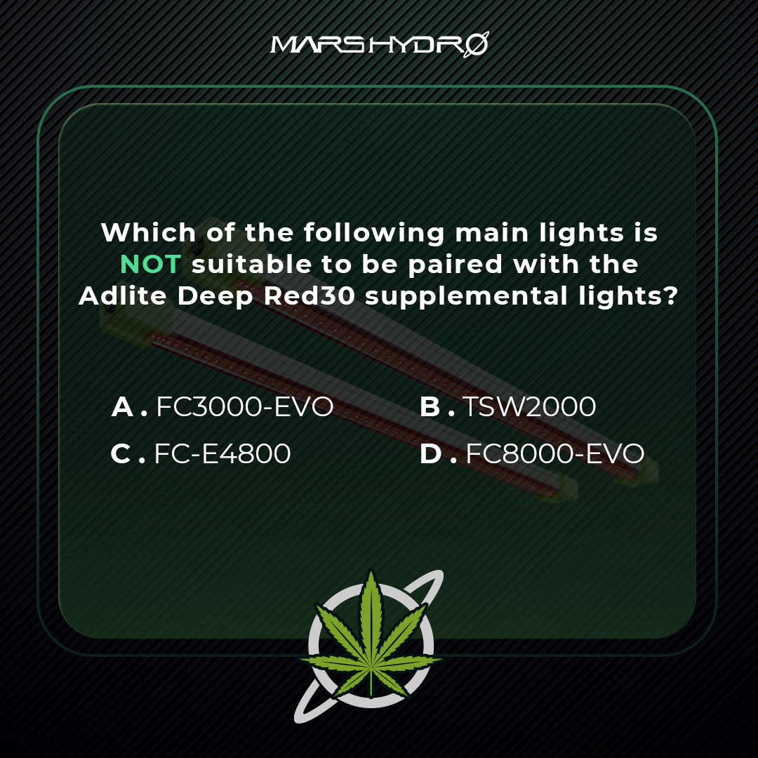 MarsHydroLight's tweet photo. It's quiz time again! 🤔
The least compatible main light for the Adlite Deep Red30 is...❓
Comment below and we might surprise a winner who guessed it right with a special gift! 🎁
Hint 👉 https://t.co/7NiKRYVAFg
#MarsHydro #LEDgrowlights #deepred #growknowledge #QUIZTIME https://t.co/ujsNAqeHek