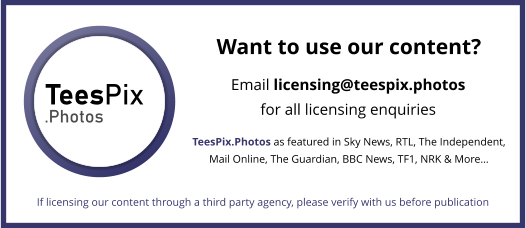 TeesPix.Photos tweet media