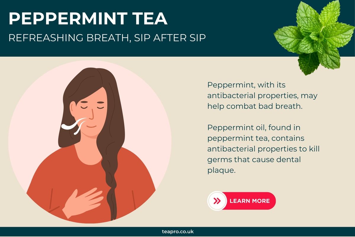 TeaProUK's tweet image. Discover the Power of Peppermint Tea!

With a refreshing minty flavour and antibacterial properties, peppermint tea helps to combat bad breath.

To explore the science behind this benefit, and more, checkout our blog: teapro.co.uk/peppermint-tea…
#teapro #teahealth #pepperminttea