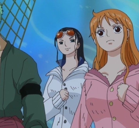 Daily Nami & Robin (@dailynamirobin) on Twitter photo 