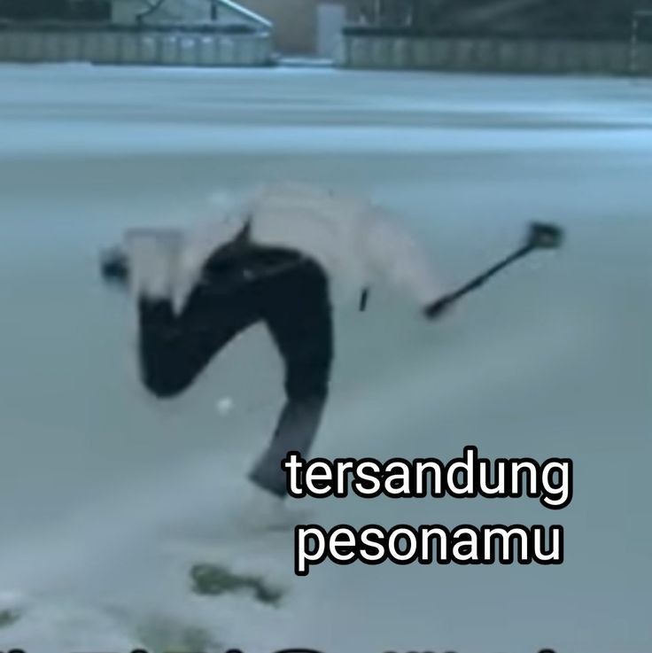 agen tuyul tweet media