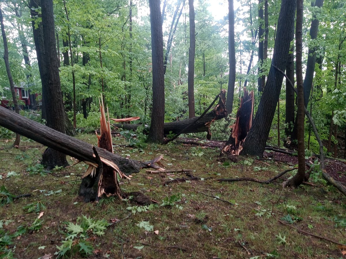 creekcrawler tweet media