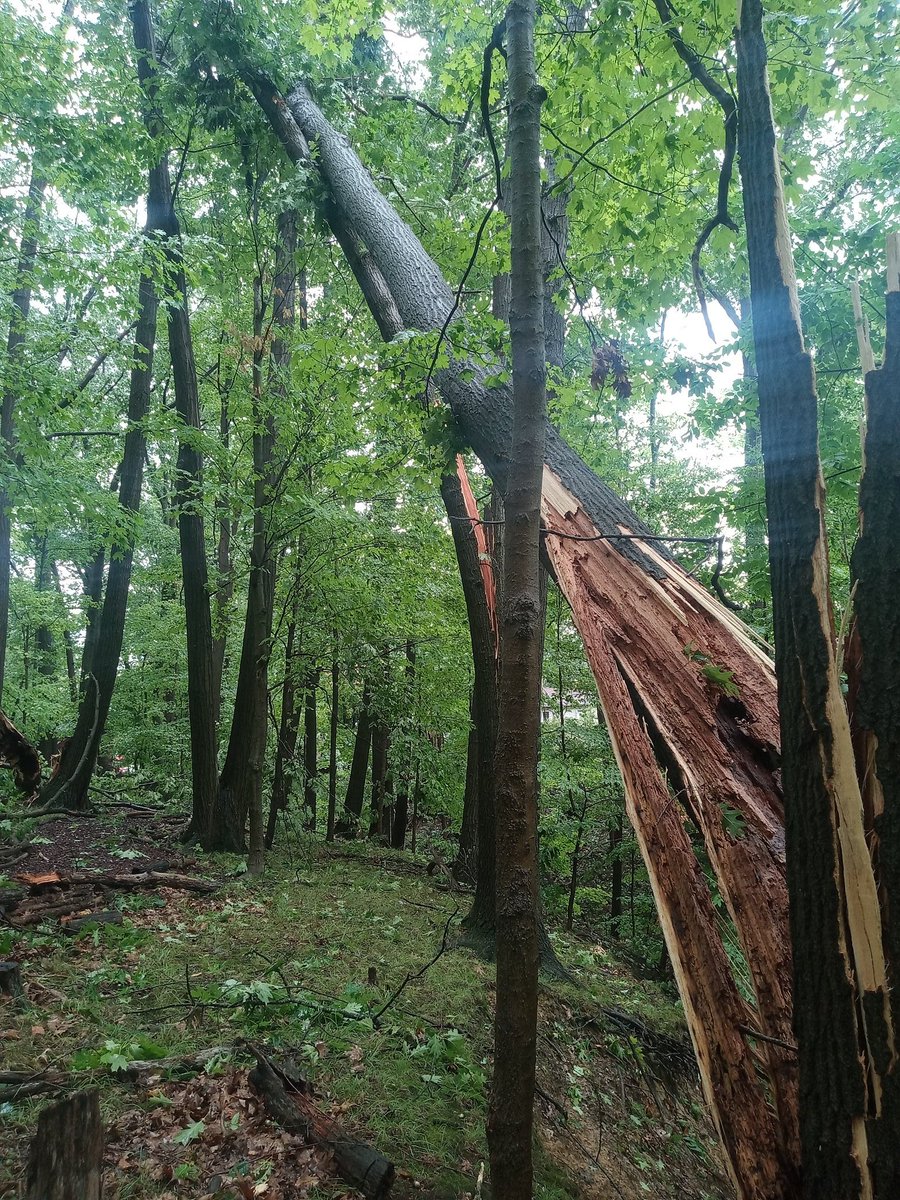 creekcrawler tweet media