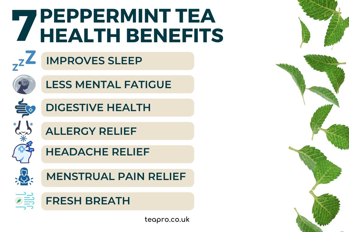 TeaProUK's tweet image. Unlock the power of peppermint tea with these 7 benefits!
Relieve tension headaches, freshen your breath, and achieve digestive harmony - all in one refreshing tea.

Explore the science behind each benefit on our blog: teapro.co.uk/peppermint-tea…
#teapro #teahealth #pepperminttea