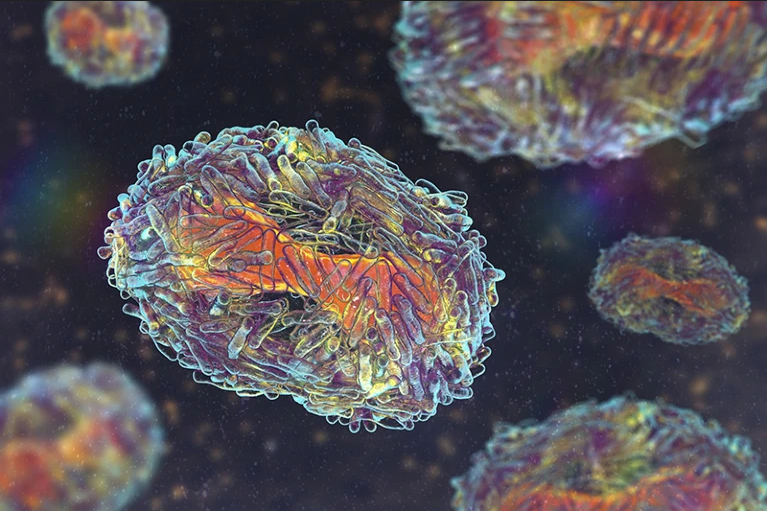 La OMS ha enlistado los patógenos que podrían provocar la próxima pandemia actualizando su lista de virus y bacterias más peligrosos. El número de patógenos ha aumentado a más de 30, y ahora incluye el virus de la influenza A, dengue y de la viruela símica. Esta lista de
1/