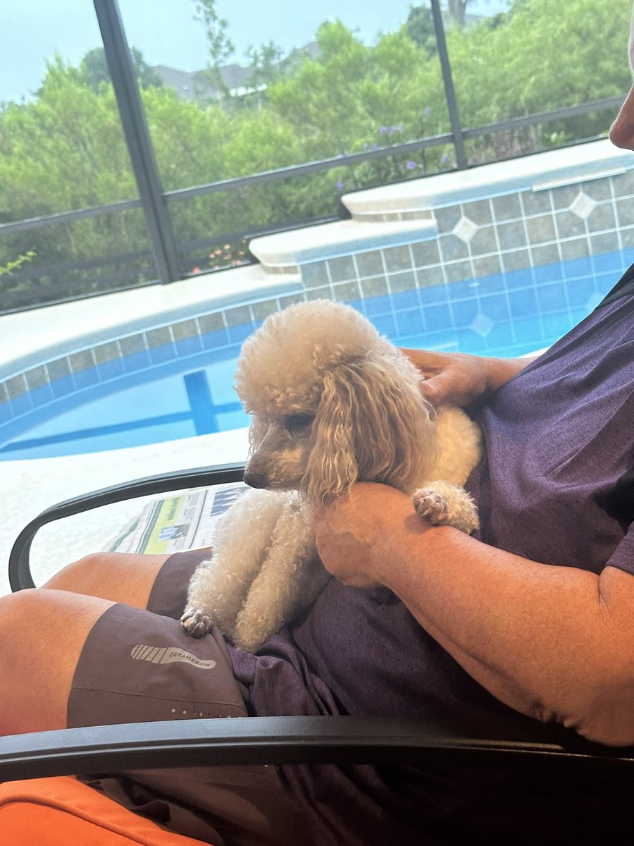 Johnny Moline 🐊 🌴🦩🦎 tweet media