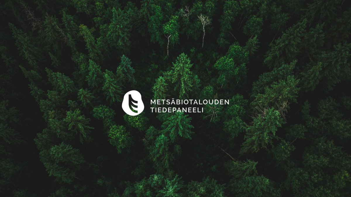 Mekin lausuimme vanhojen metsien kriteereistä.

Lausuntomme kohdentuu tiedepaneelin tehtäväalueen mukaisesti kriteerien mahdollisiin vaikutuksiin metsäbiotalouden kokonaiskestävyydelle.

Ketjussa lausuntomme pääpointit. 1/8 #metsät