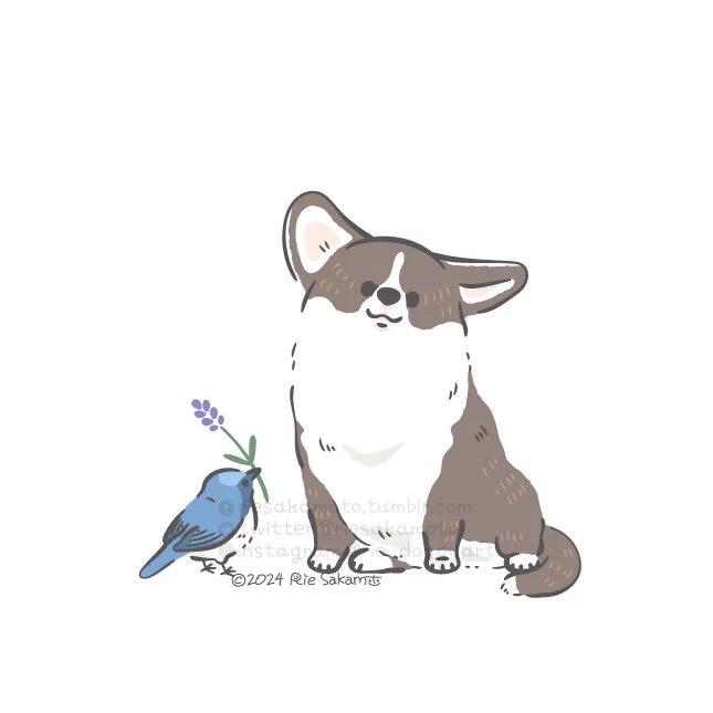 #私はこういう絵師です見た絵師全員参加 コーギーと野鳥、時々ハスキーと動物