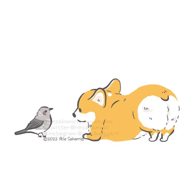 #私はこういう絵師です見た絵師全員参加 コーギーと野鳥、時々ハスキーと動物