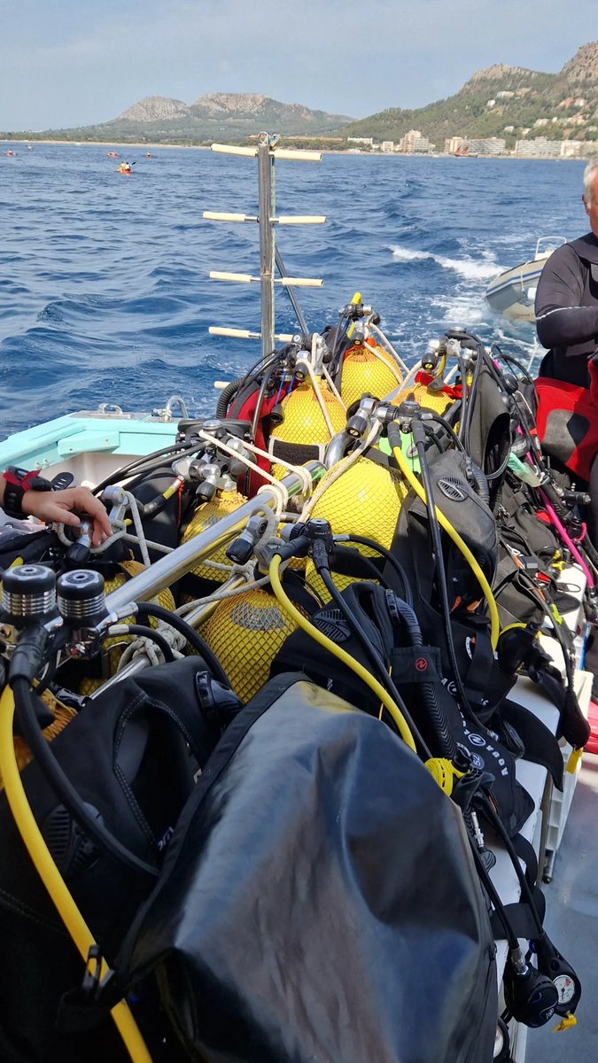 Alvaro アルバロ tweet media