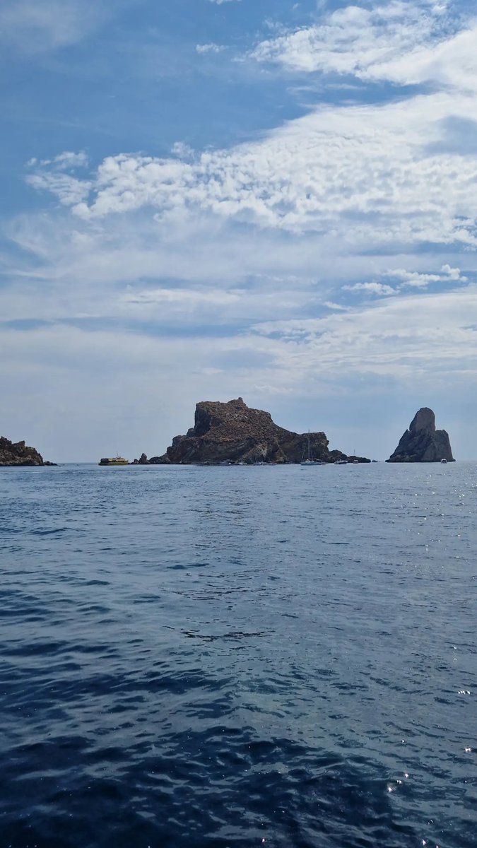 Alvaro アルバロ tweet media