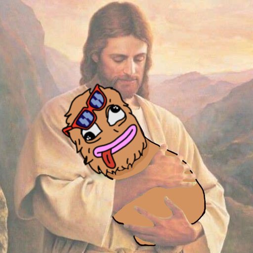Wolftards's tweet photo. Day two and Jesus has blessed us with his holy pump.
#ToTheMoon #Crypto https://t.co/b12UsYI70T