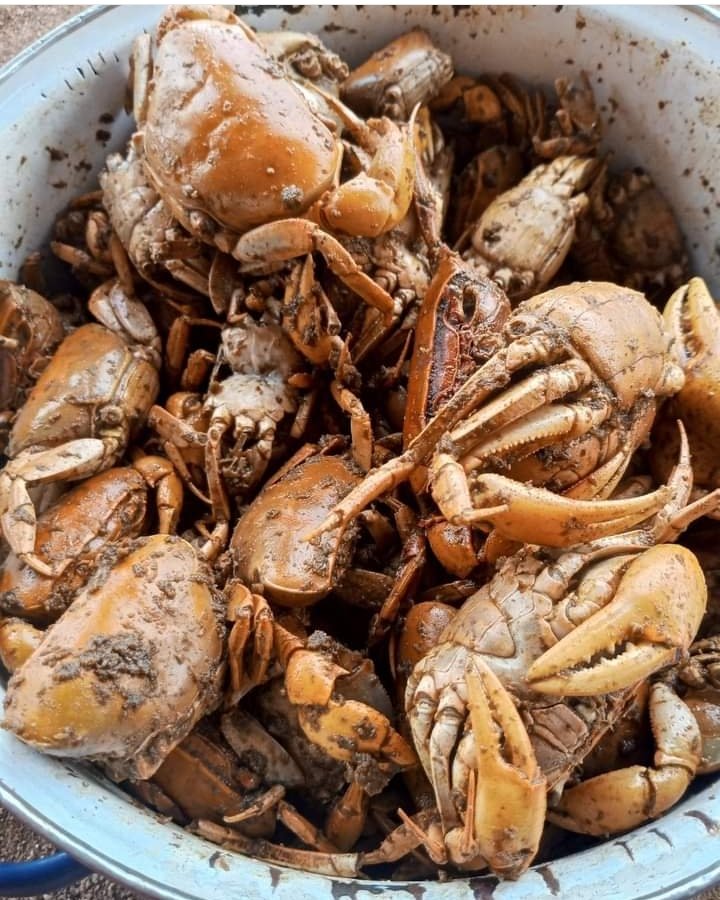 Tivkingdom's tweet photo. Some Tiv Delicacies 😋 which one is your favorite? https://t.co/09oFkYHtb9