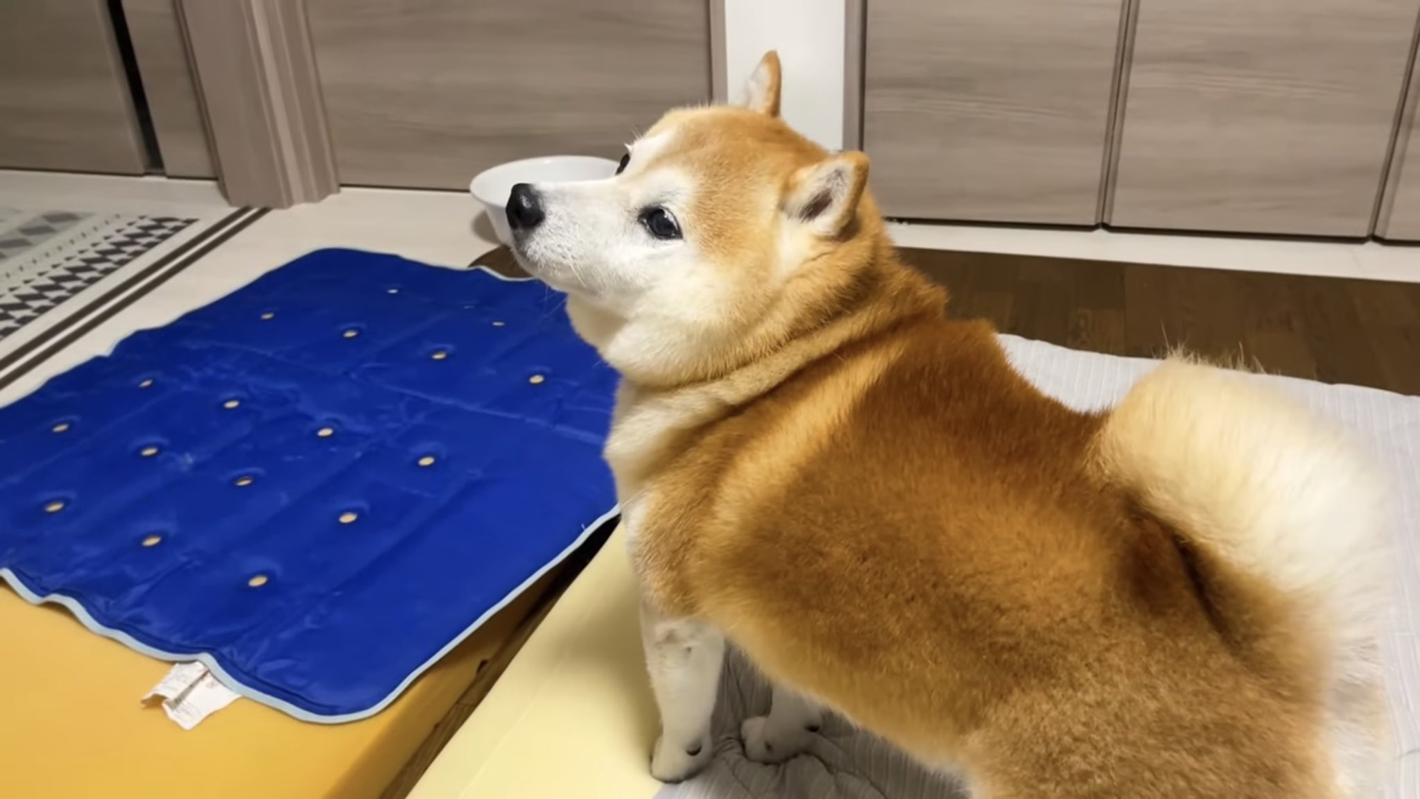 らんまる JDM NISSAN FB15 B15 SUNNY SENTRA KOUKI Tail lights Left side