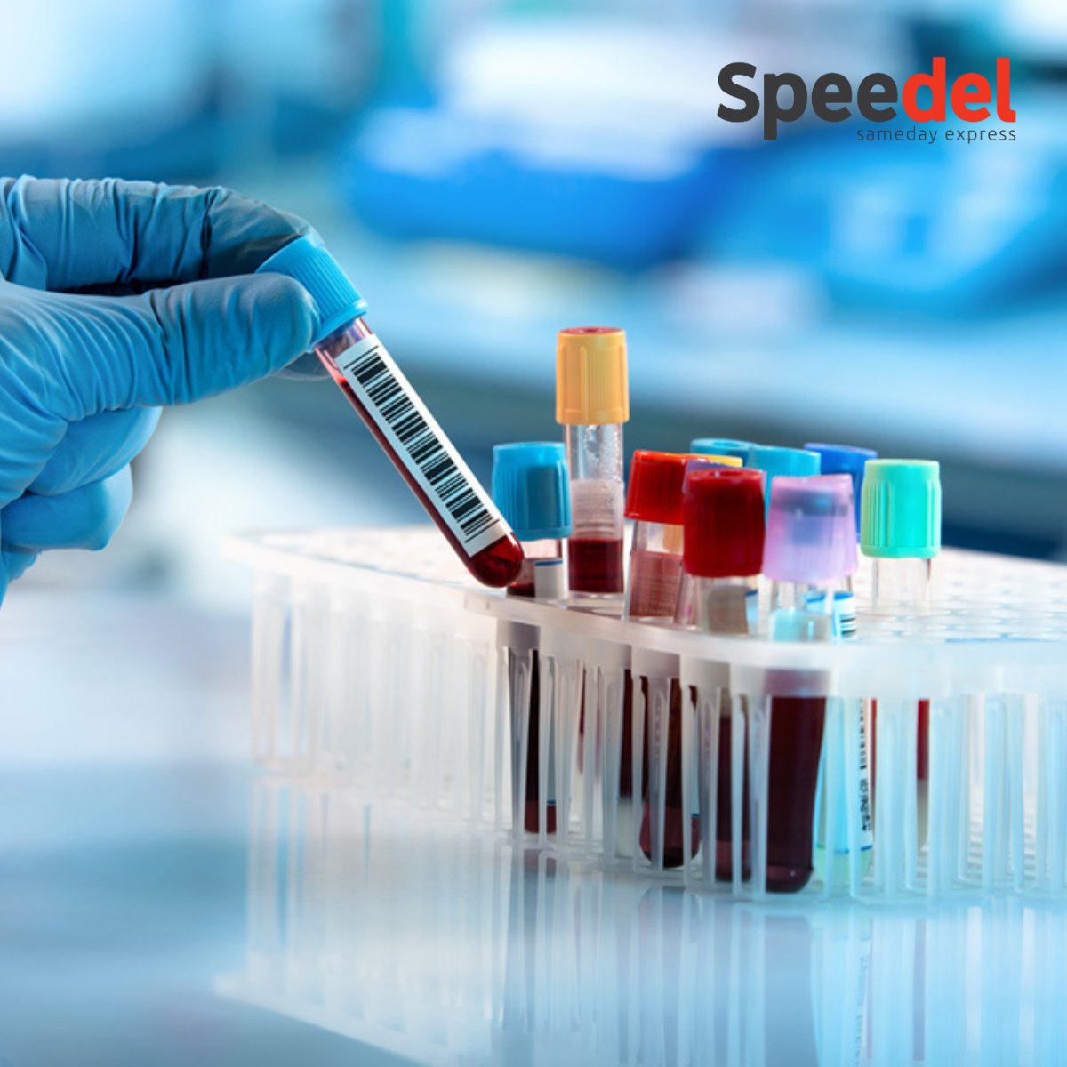 Healthcare Courier Deliveries🏥 
As specialists in medical logistics, we support NHS Trusts, GP surgeries, pathology labs and private healthcare facilities with our round-the-clock service.  
#HealthcareLogistics #SameDayDelivery #MedicalCourier  speedel.co.uk/our-services/s…