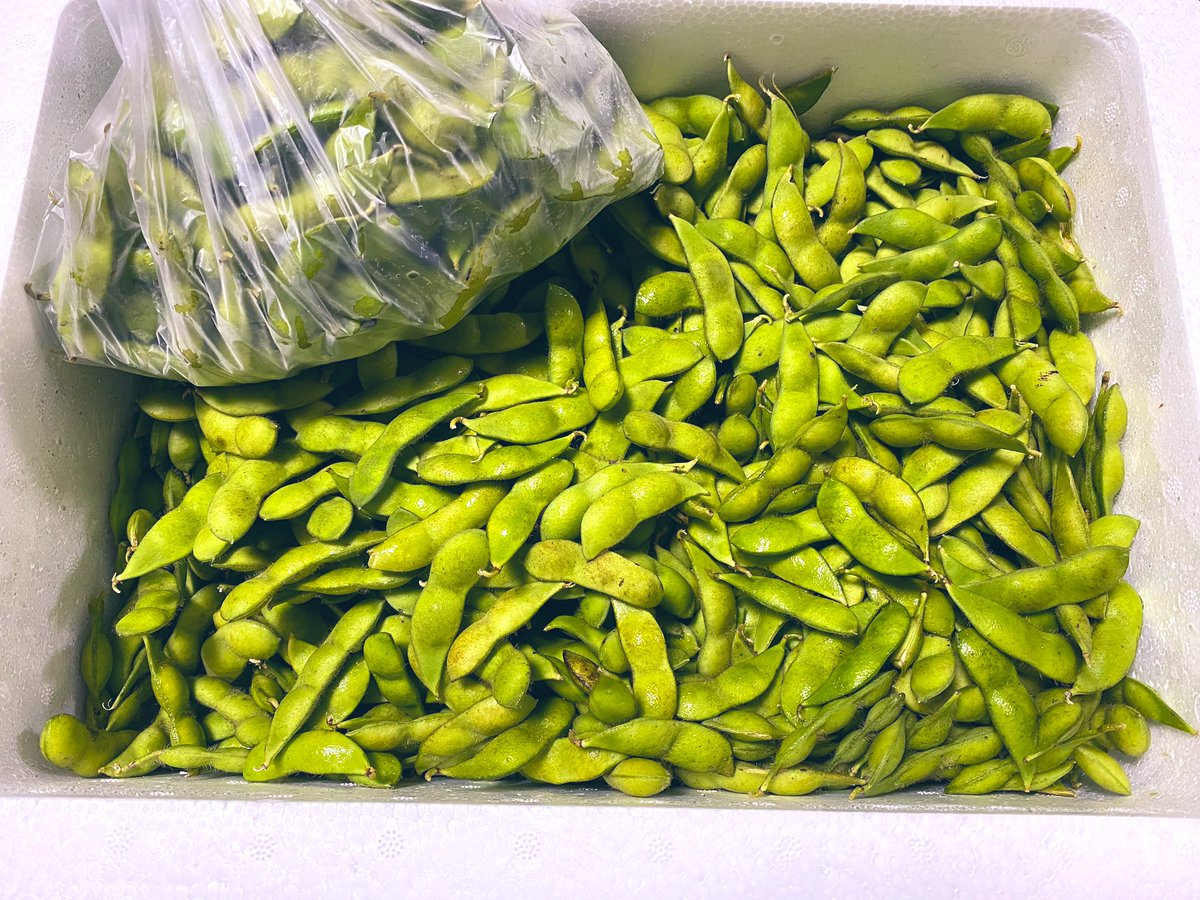 大量のくろさき茶豆‼︎推定3キロ
夏ですなぁ〜〜🎐