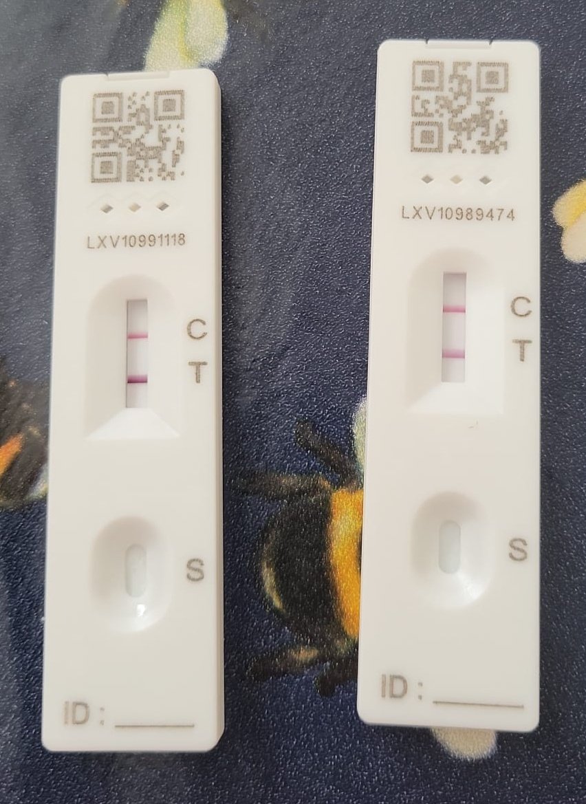 SecurityRollo's tweet photo. Mrs D has been really unwell for a couple of days. I suddenly fell ill overnight. Hoped it was a bad cold, but felt so awful, we did a COVID test. Didn't know it was still a thing?
Was due to go to Leeds tomorrow for some important meetings! @LodgeServiceUK 😠
#NotACold #COVID https://t.co/t11RqUSxbt