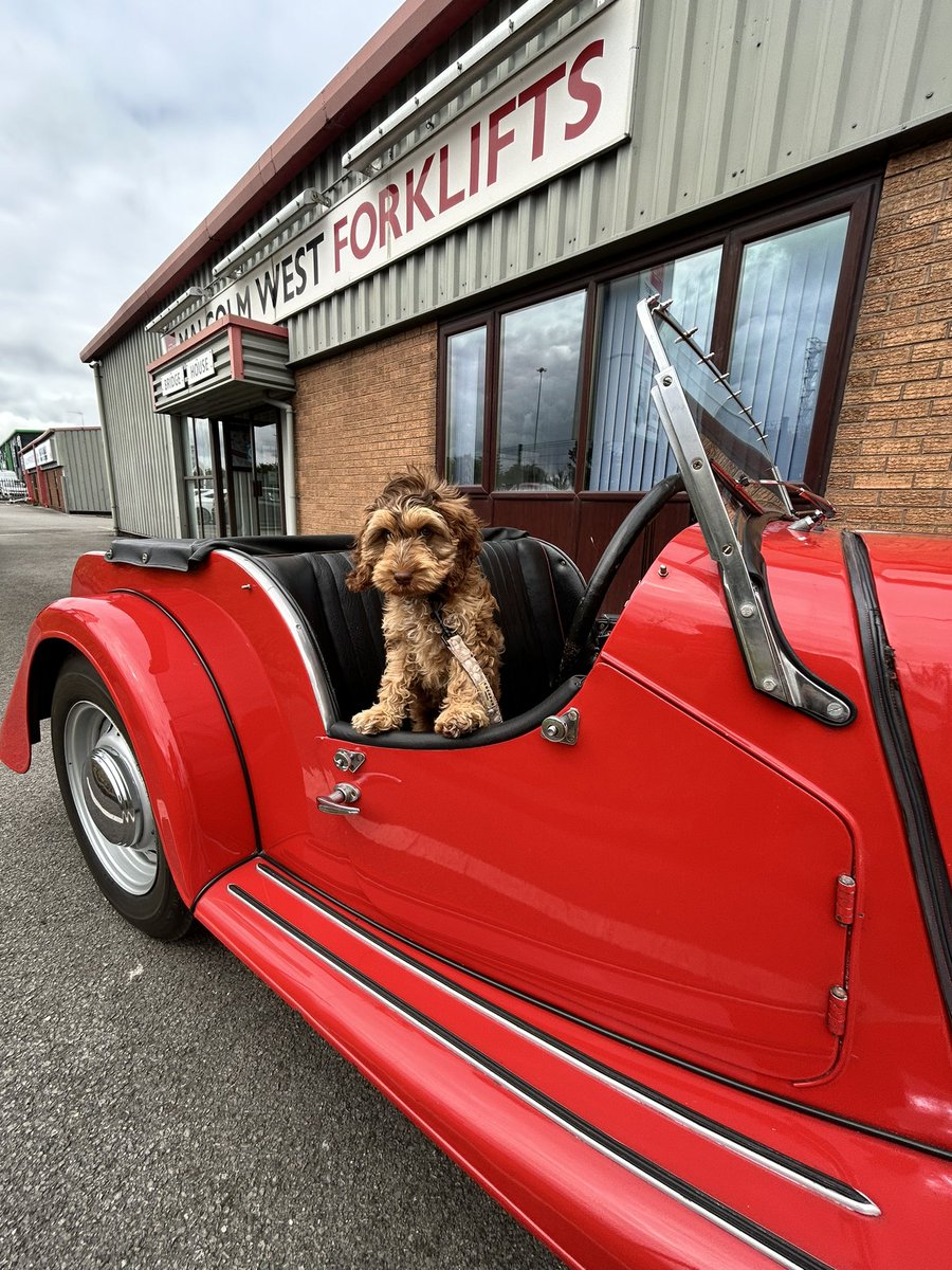 Introducing the newest member to the Malcolm West team, meet Rosie the 12 week old Cockapoo 🐶

Rosie will bring great cuteness and treats to the workplace whenever she’s around! 

Favourite food - Strawberry’s 🍓
Favourite toy - Pink Elephant 🐘
Favourite thing - Zoomies 💨