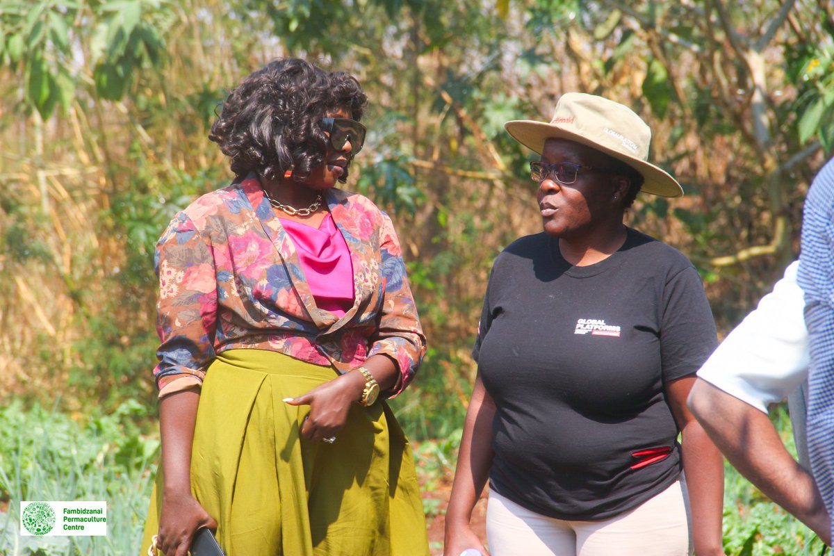fpc_online's tweet photo. So honored to have received a visit from the @ActionAid Global Climate Justice Working Group on their quest to learn and appreciate the AE work being done at FPC as well as finding out how all this can feed into the adoption and mitigating of climate change.
@ActionAidZim https://t.co/yWVXkaUo4V