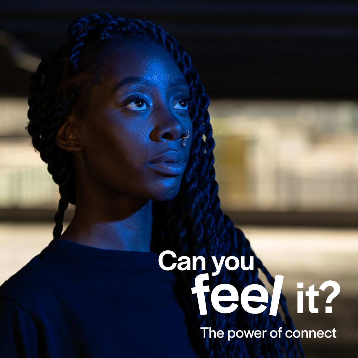 Open Media tweet media