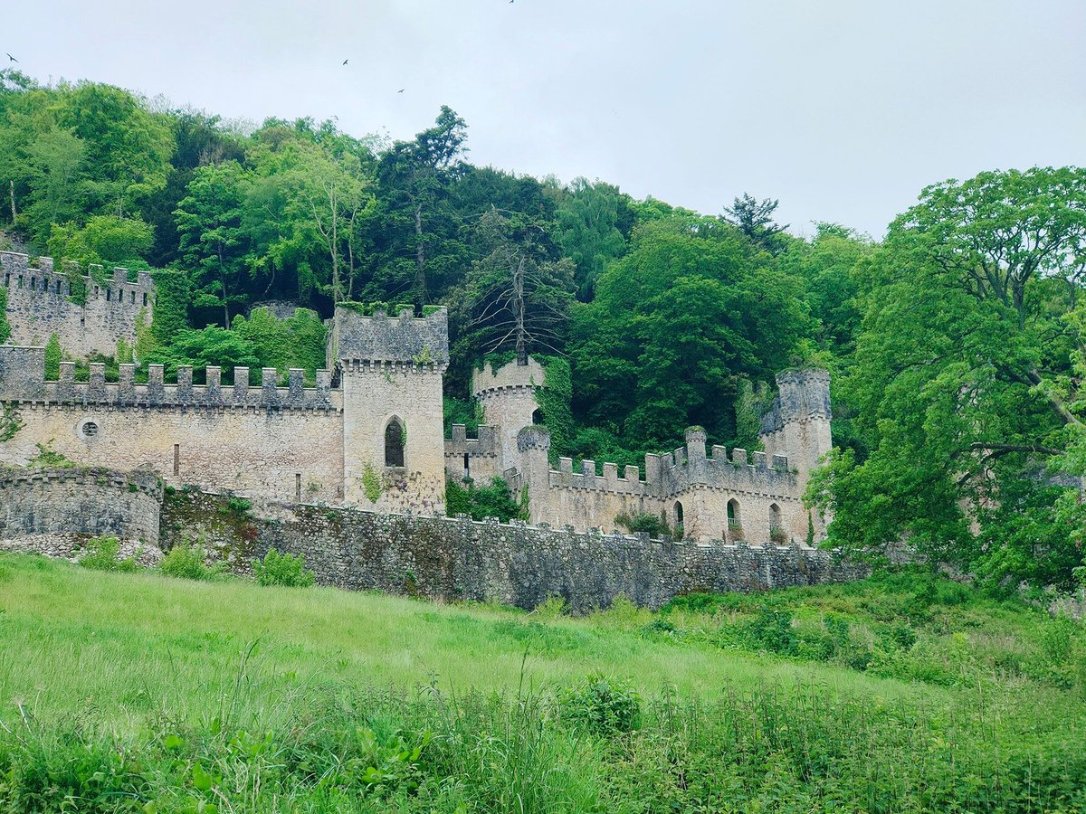 Crookes Walker (@cwcengineers) on Twitter photo We are thrilled to be involved in conservation work at <a href="/Gwrych_Castle/">Gwrych Castle</a>, the stunning gothic ruin which hosted I'm a Celeb during Covid. We have developed an outline servicing strategy as part of the initial priority repairs, funded by the National Heritage Memorial Fund. We are thrilled to be involved in conservation work at <a href="/Gwrych_Castle/">Gwrych Castle</a>, the stunning gothic ruin which hosted I'm a Celeb during Covid. We have developed an outline servicing strategy as part of the initial priority repairs, funded by the National Heritage Memorial Fund.