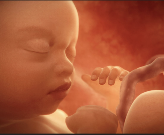 MikeGendro51608's tweet photo. The insane and preposterous use of the phrase “reproductive rights." The word “reproductive" means the right to procreate which women have the freedom to do. But no woman should have the right or freedom to brutally destroy and murder a prescious baby in their womb. https://t.co/TMGQ5Aogu2