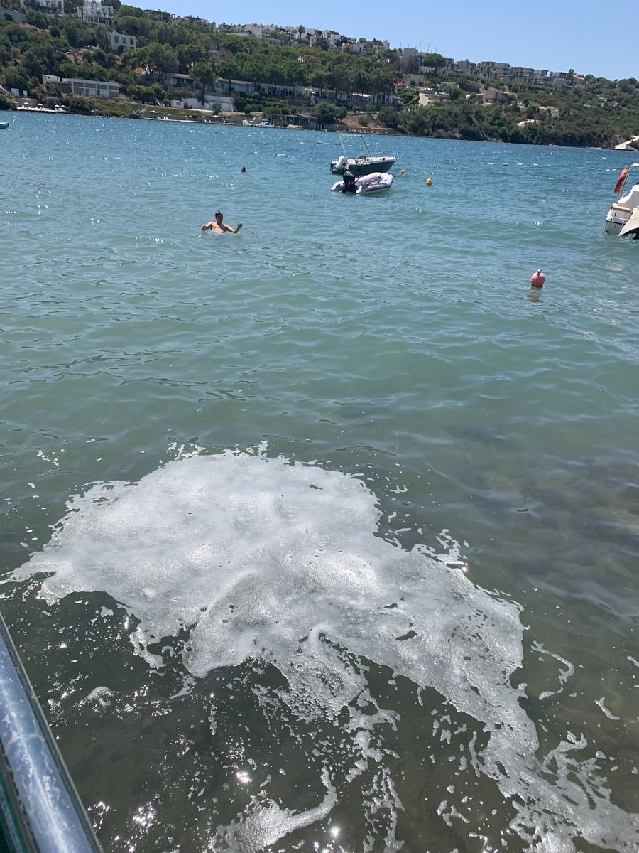 barkinca's tweet photo. Muğla Milas Boğaziçi sahilinde hergün yenilen bir kirlilik benzeri bir durum var, genellikle öğlen ve öğleden sonrasi olusuyor. Bunun sebebi nedir? Kaynagi belli midir? Önlenebilir mi? Bu durum Denize girenler icin tehlikelimidir? @csbgovtr https://t.co/V6xm4FWfkw
