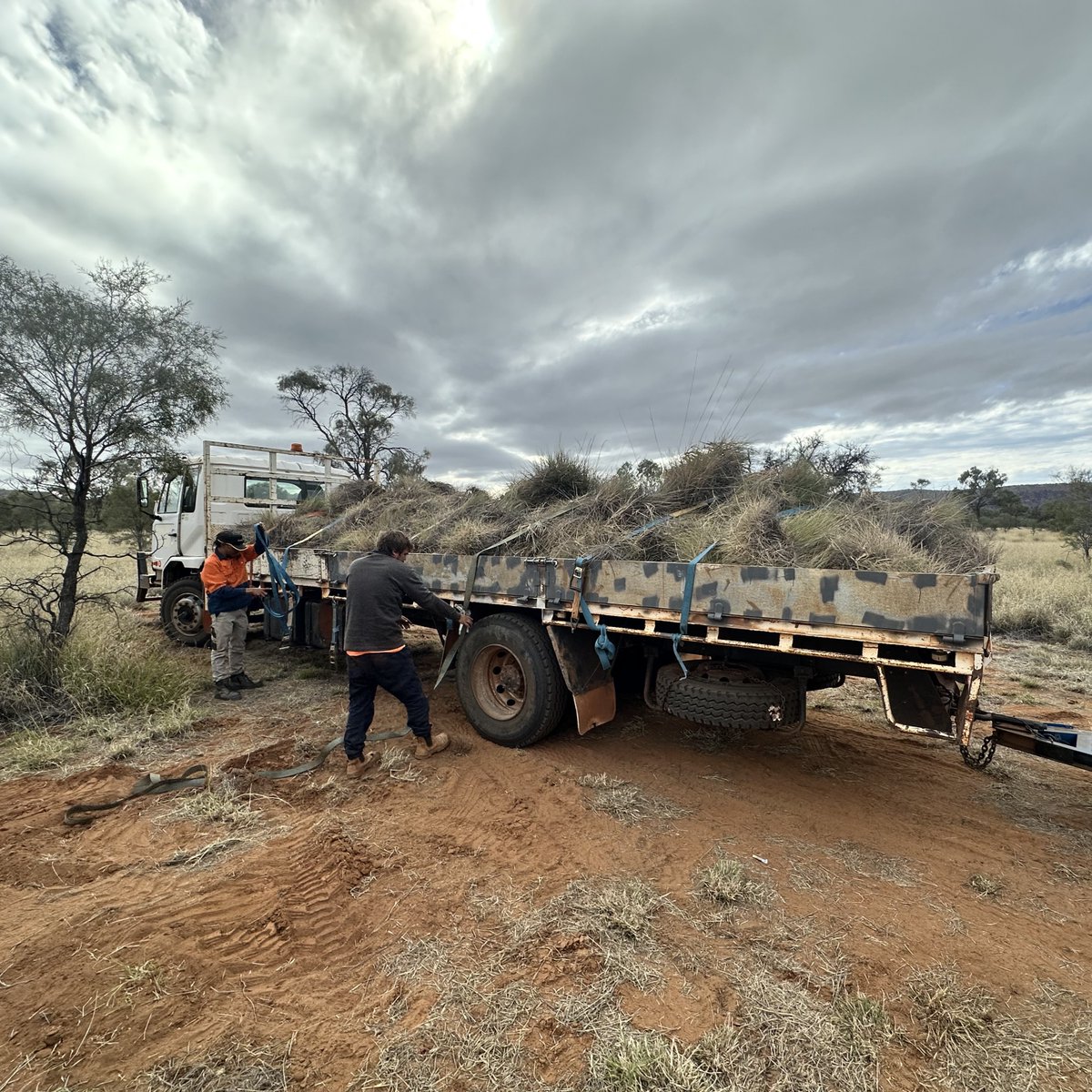 We're excited to announce the development of a first of its kind in #AliceSprings – a men’s outdoor space on traditional meeting grounds at the Desert Knowledge Precinct. A space built by Aboriginal men, for Aboriginal men. Here's the first stage of construction.