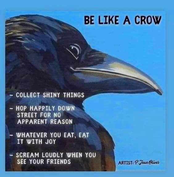 Happy Wednesday
