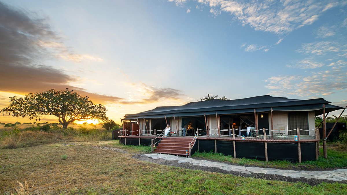 BushAndEvents's tweet photo. Discover the beauty of Sand River Mara Camp, nestled in the heart of the Maasai Mara. Experience luxury amidst the wild and witness the Great Migration up close. Perfect for an unforgettable safari adventure! 🌅🦁 #SandRiverMara #SafariExperience #WildlifeAdventure #ExploreKenya https://t.co/LxPWn6YRSV