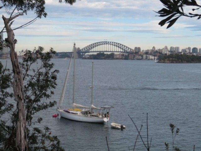 LydiaCLee's tweet photo. Mosman #Art Trail https://t.co/l3euIBddQL #Bushwalk https://t.co/DfDX7yiEQy