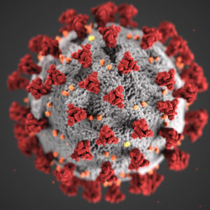 Unlikely_Buddha's tweet photo. COVID-19 #Update: 

#New Variants, Increased #Transmissibility, and #Importance of #Vaccination

The #SARS-#CoV-2 virus continues to evolve, with new variants emerging that may be more transmissible. https://t.co/WaoQmWmFjY