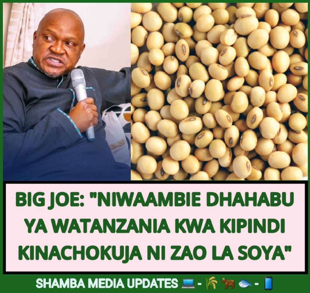 shambamedia's tweet image. 🫘🛫 Mkurugenzi wa @CloudsMediaLive Joseph Kusaga(Big Joe) kupitia kipindi cha Power Breakfast amewataka watanzania kuingia kwenye mnyororo wa thamani wa zao la Soya kwenda kwenye soko la China ambapo soko la Soya ni kubwa, na kusema Soya inaenda kuwa dhahabu ya Tanzania. #SOYA🇹🇿